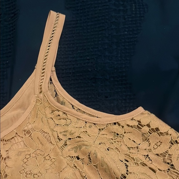 White House Black Market Lace Beige Bell Sleeve Blouse - Picture 4 of 10